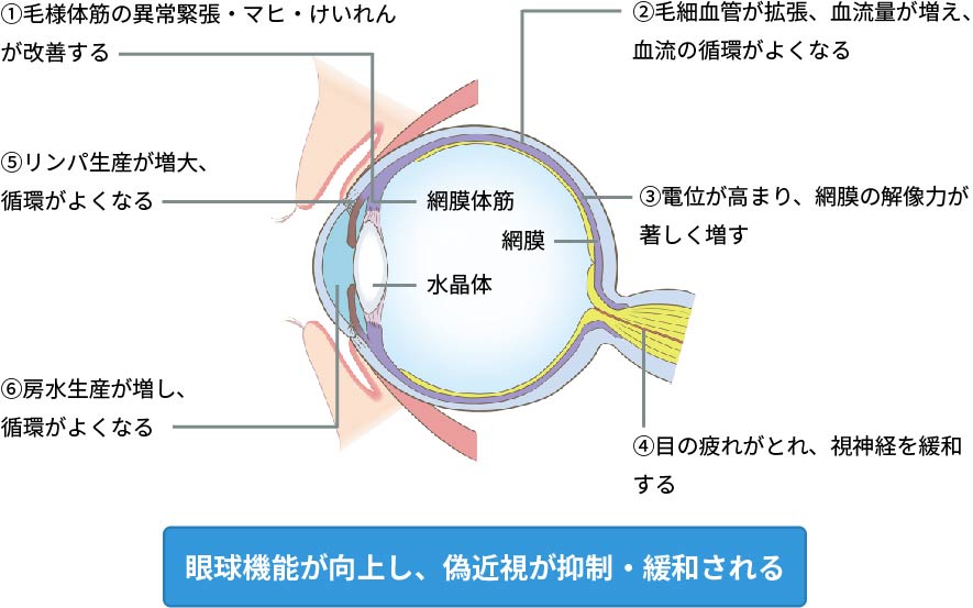 フタワソニックの効果